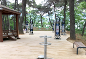 상록수 공원 전경