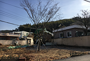 신천소공원 전경