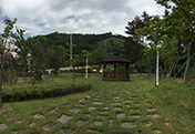 회동첨단공원 전경