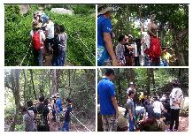 2015년 상반기 숲체험