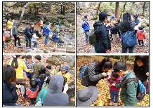 2015년 가족숲체험