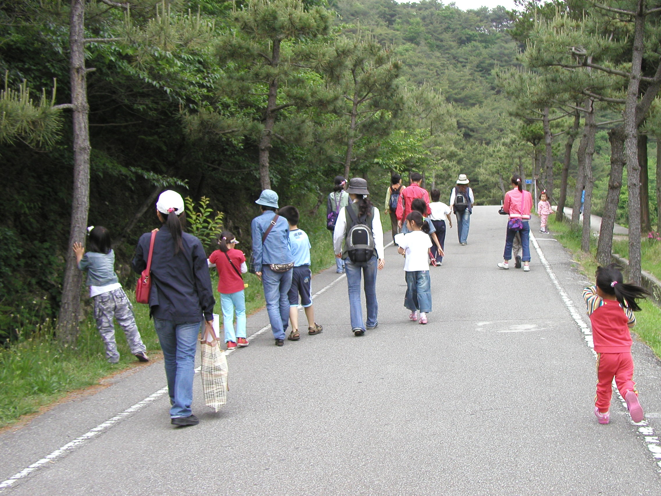 가족숲체험교실