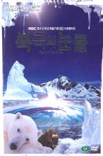 북극의 눈물