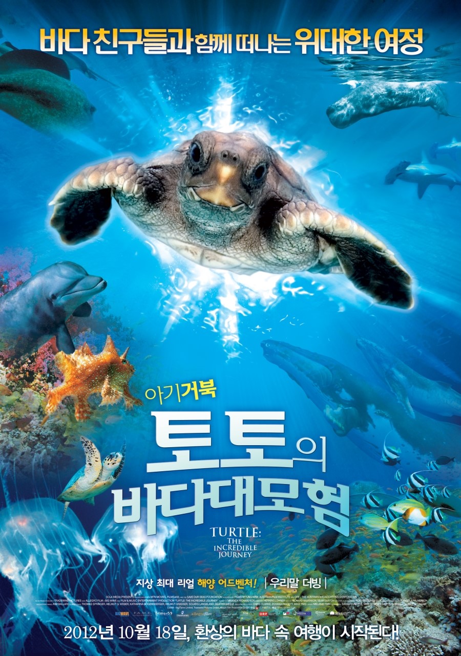 아기거북토토의 바다대모험